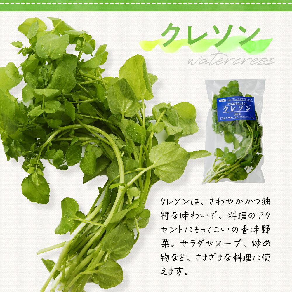 【ふるさと納税】【先行受付】めむろ春一番 旬の恵みセットA【2026年4月下旬より発送】 旬 新鮮 産地直送 本わさび 山わさび サラダ 野菜 クレソン 薬味 香味野菜 おひたし ソテー 付け合わせ 北海道 十勝 芽室町 - 画像3