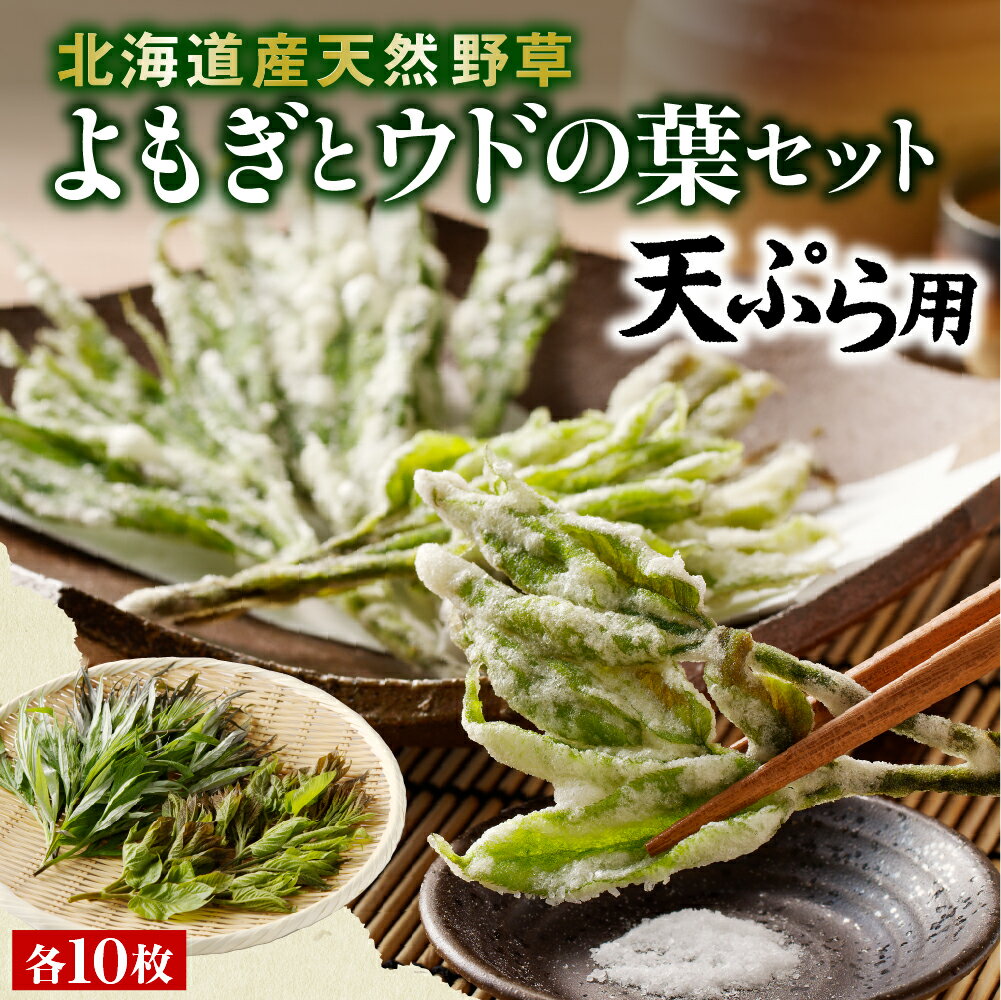 【先行受付】【2026年5月発送】 天ぷら用 ヨモギとウドの葉セット 山菜 天然 冷蔵便 北海道 十勝 芽室町