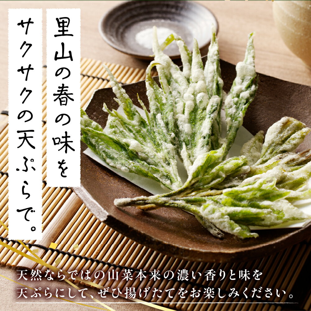 【ふるさと納税】【先行受付】【2026年5月発送】 天ぷら用 ヨモギとウドの葉セット 山菜 天然 冷蔵便 北海道 十勝 芽室町 - 画像3