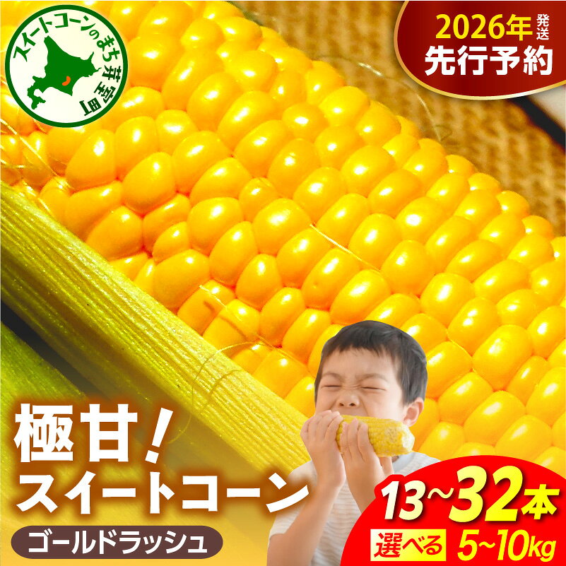 【先行予約】 とうもろこし ファームミリオン の 極甘 スイートコーン ( 選べる内容量 : 5kg 13～16本 / 10Kg 26～32本 ) 【2026年8月上旬〜8月中旬頃発送】| ゴールドラッシュ とうきび コーン お取り寄せ 産地直送 送料無料 国産 北海道 十勝 芽室町
