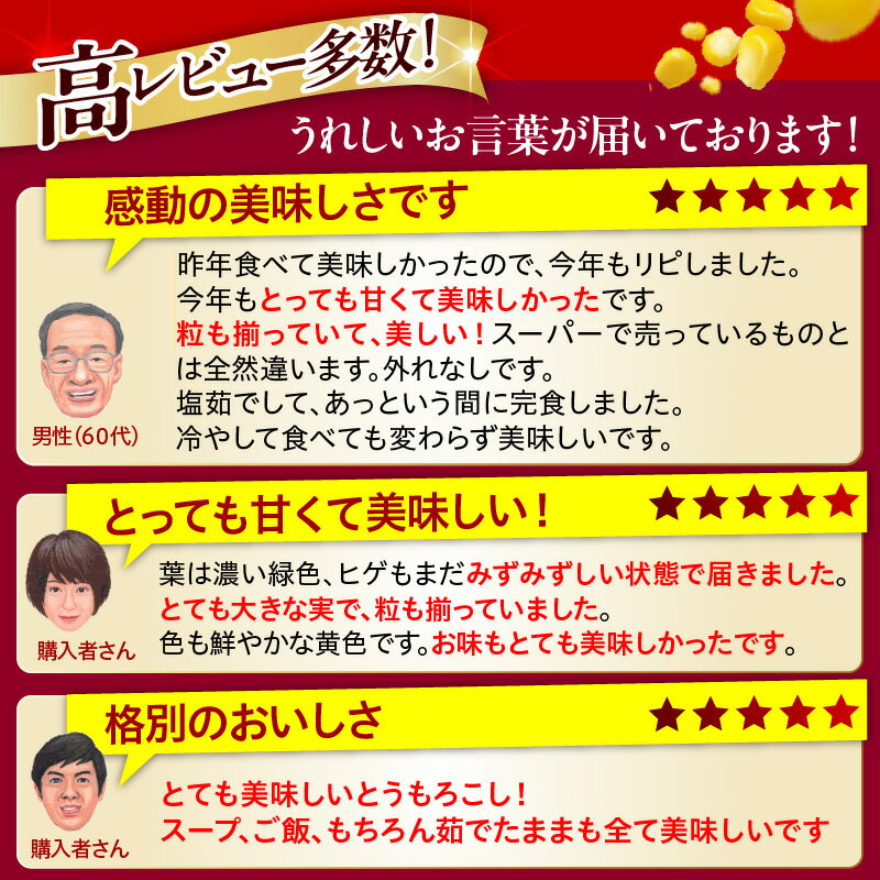 【ふるさと納税】【先行予約】 とうもろこし ファームミリオン の 極甘 スイートコーン ( 選べる内容量 : 5kg 13～16本 / 10Kg 26～32本 ) 【2026年8月上旬〜8月中旬頃発送】| ゴールドラッシュ とうきび コーン お取り寄せ 産地直送 送料無料 国産 北海道 十勝 芽室町 - 画像3