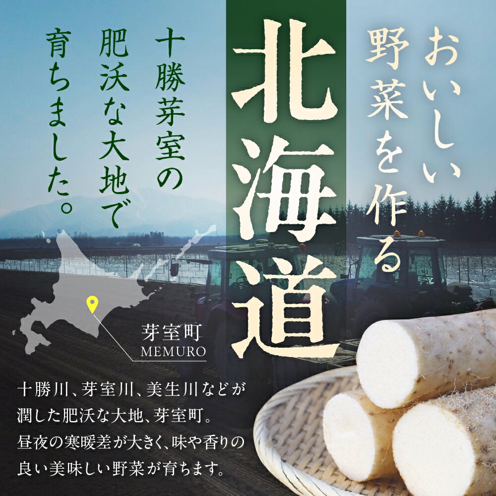 【ふるさと納税】ファーム・ミリオンの長芋 選べる内容量 5kg / 10kg土付き 長芋 長いも 芋 野菜 国産 とろろ 山かけ 滋養強壮 ご飯 お供 お裾分け 有機栽培 産地直送 北海道 十勝 芽室町 送料無料 - 画像2