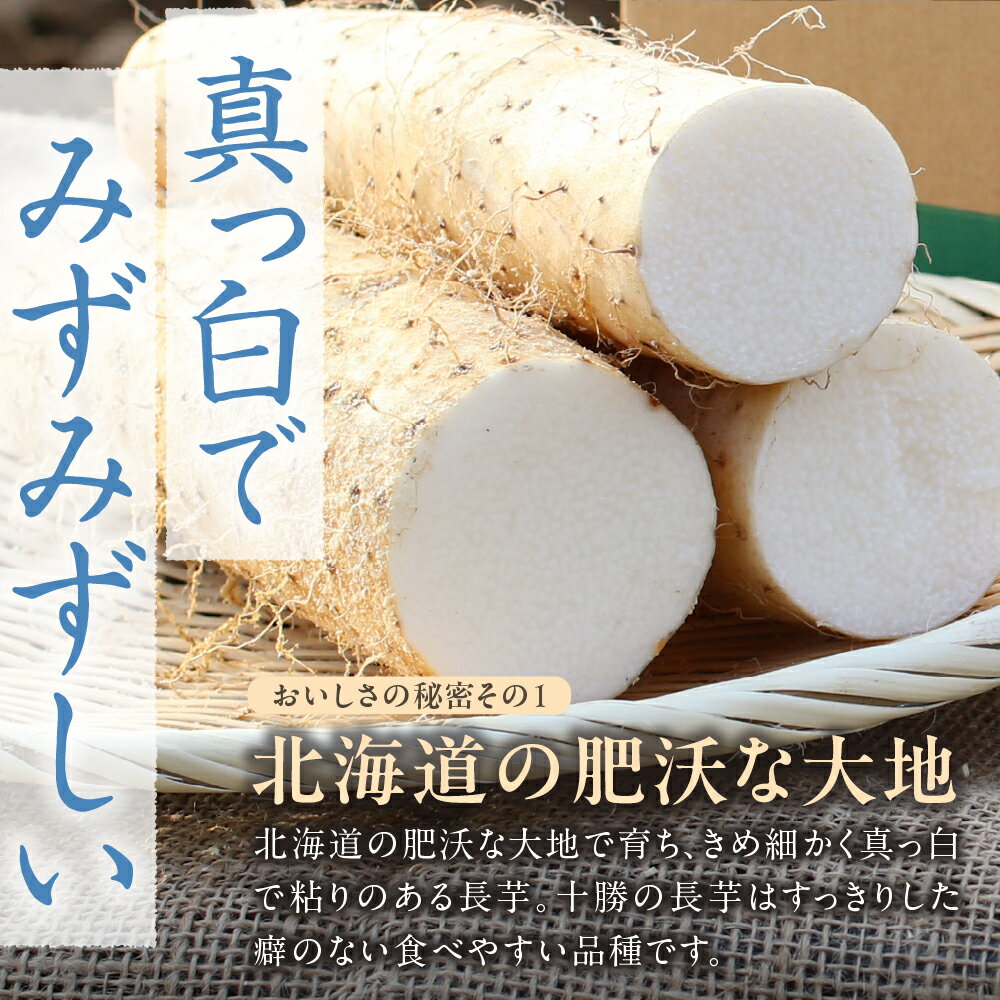 【ふるさと納税】ファーム・ミリオンの長芋 選べる内容量 5kg / 10kg土付き 長芋 長いも 芋 野菜 国産 とろろ 山かけ 滋養強壮 ご飯 お供 お裾分け 有機栽培 産地直送 北海道 十勝 芽室町 送料無料 - 画像3