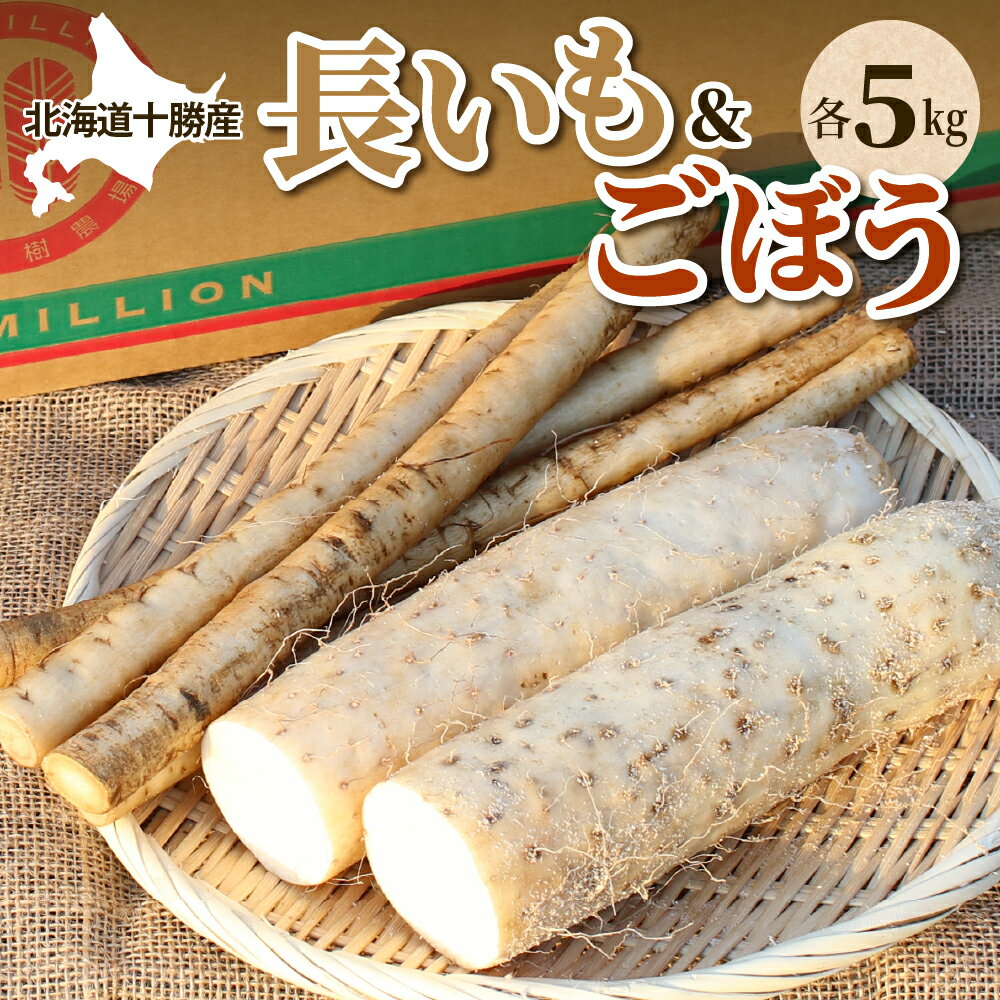 ファーム・ミリオンの長芋ごぼうセット 10kg土付き 長芋 長いも 芋 ごぼう セット 野菜 国産 とろろ 山かけ 滋養強壮 ご飯 お供 お裾分け 有機栽培 産地直送 北海道 十勝 芽室町 送料無料