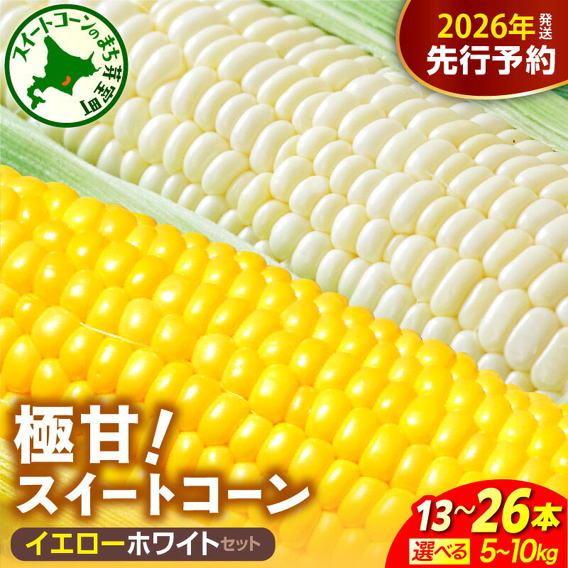 先行受付 2026年産 極甘 スイートコーン 2色セット（イエロー・ホワイト）北海道産【選べる：5kg ( 13本 ) / 10kg ( 26本 )】とうもろこし とうきび コーン 野菜 国産 産地直送 お取り寄せ 北海道 十勝 芽室町