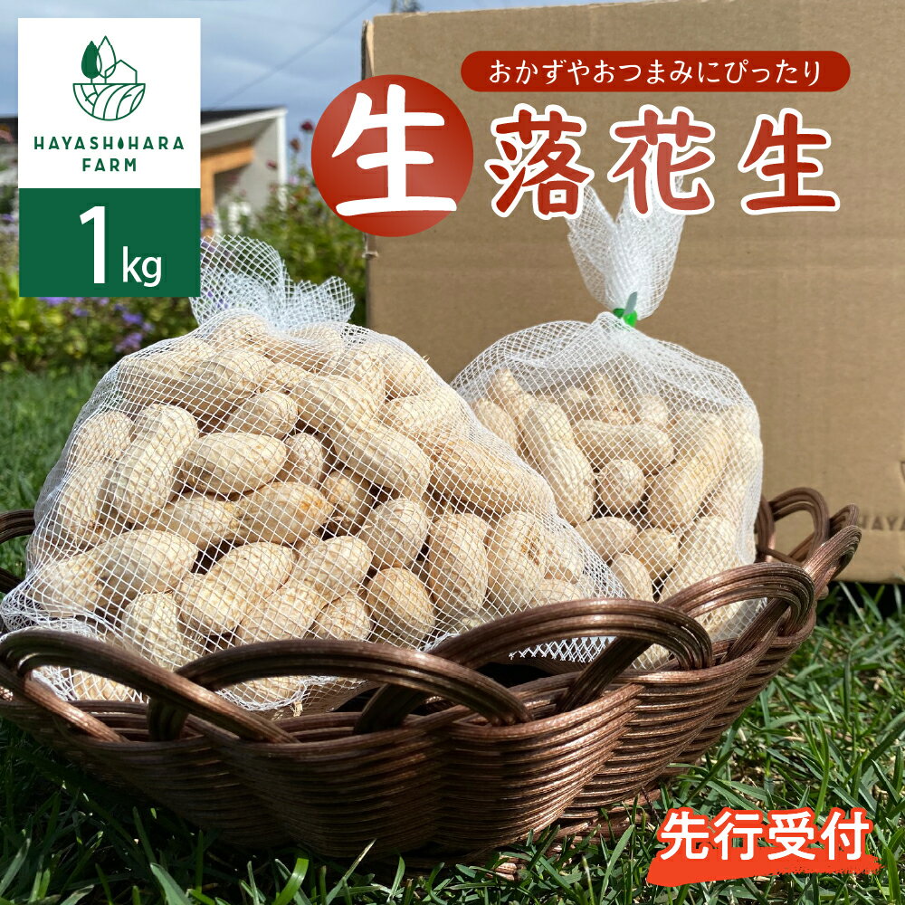 生落花生 茹で用 郷の香 1kg ( 500g ×2袋 ) さとのか 大粒 落花生 らっかせい 生らっかせい 生 豆 ピーナッツ ナッツ おやつ おつまみ つまみ おかず 冷蔵 予約 先行受付 秋 旬 国産 北海道十勝芽室町