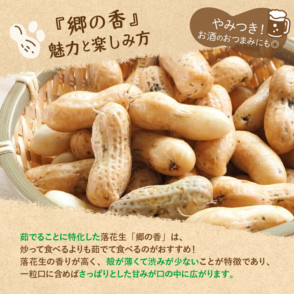 【ふるさと納税】 生落花生 茹で用 郷の香 1kg ( 500g ×2袋 ) さとのか 大粒 落花生 らっかせい 生らっかせい 生 豆 ピーナッツ ナッツ おやつ おつまみ つまみ おかず 冷蔵 予約 先行受付 秋 旬 国産 北海道十勝芽室町 - 画像3