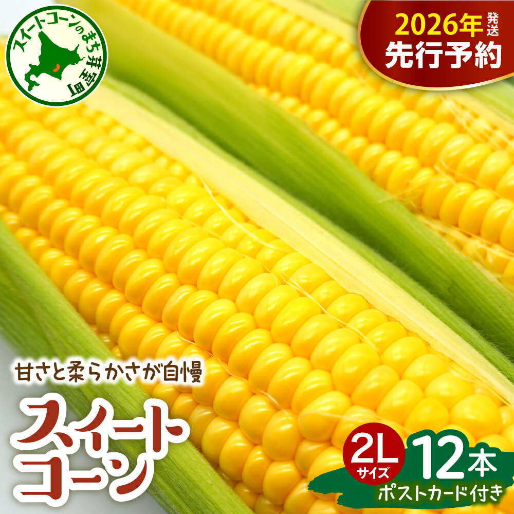 【先行予約】 2026年産 とうもろこし ゴールドラッシュ 12本入 上美生のたからばこ ポストカード セット 【2026年7月下旬～8月下旬頃配送】 2Lサイズ以上 大粒 人気 朝採り 産地直送 甘い 送料無料 期間限定 数量限定 北海道 十勝 芽室町 お取り寄せ