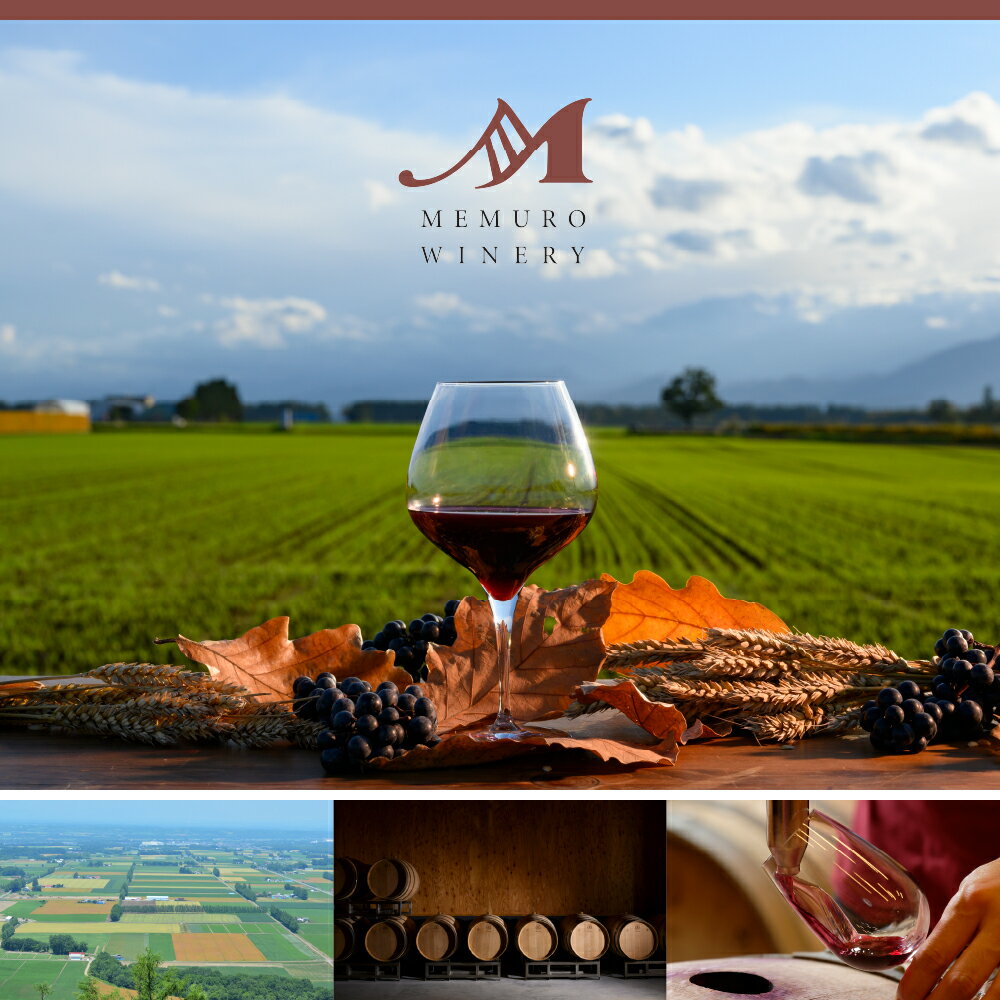 【ふるさと納税】【選べる単品/定期便】 ワイン 清舞 750ml / 赤ワイン わいん 果実酒 酒 セット 贈り物 ギフト お祝い 記念日 お歳暮 国産 瓶 お取り寄せ 北海道 十勝 芽室町 サムネイル2