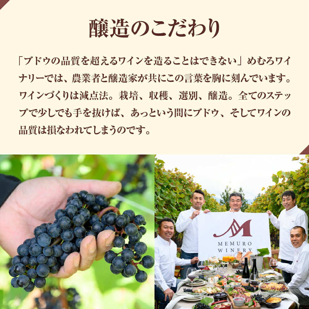 【ふるさと納税】【選べる単品/定期便】 ワイン 清舞 750ml / 赤ワイン わいん 果実酒 酒 セット 贈り物 ギフト お祝い 記念日 お歳暮 国産 瓶 お取り寄せ 北海道 十勝 芽室町 サムネイル3