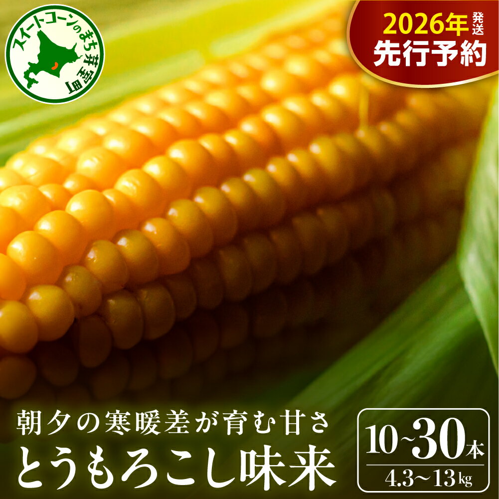 【先行予約】 とうもろこし 味来 (選べる : 10本 / 15本 / 20本 / 30本 )【2026年7月下旬～8月上旬頃配送】 北海道産 朝獲れ スイートコーン ハニーバンダム みらい とうきび 生 野菜 黄色 産地直送 送料無料 期間限定 数量限定 贈答 北海道 十勝 芽室町