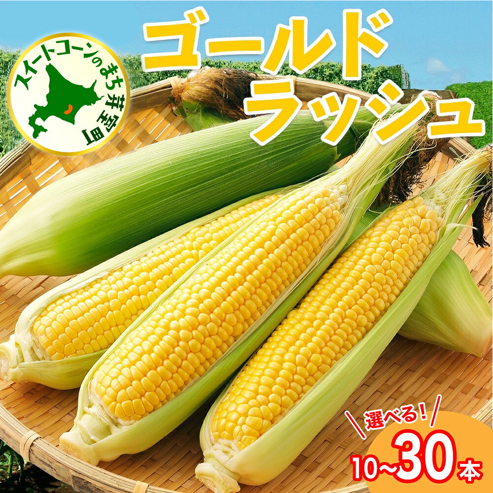 【先行予約】とうもろこし ゴールドラッシュ ( 選べる : 10本 / 15本 / 20本 / 30本 )【2026年7月下旬～8月上旬頃配送】 とうきび イエローコーン スイートコーン 生 野菜 新鮮 もぎたて 冷蔵 お取り寄せ 産地直送 送料無料 北海道 十勝 芽室町