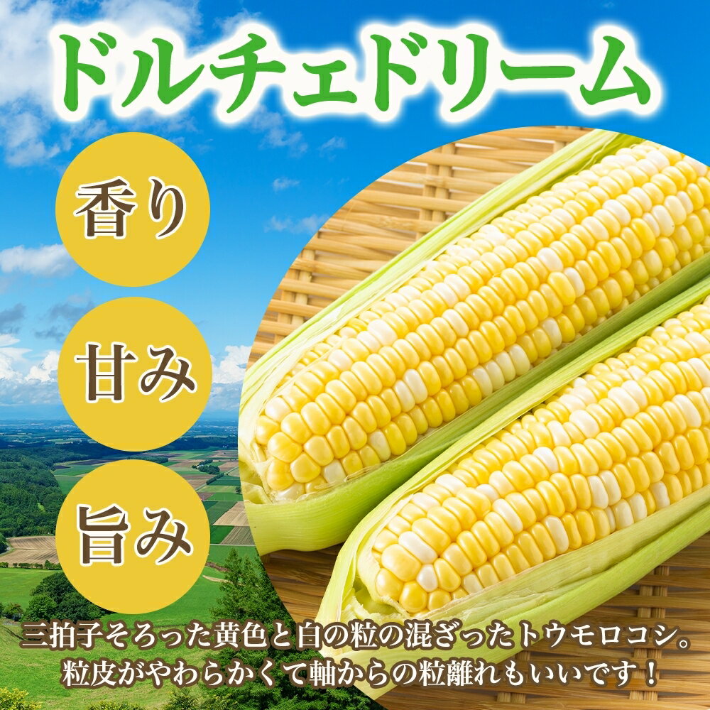 【ふるさと納税】【先行受付】とうもろこし ドルチェドリーム ( 選べる : 10本 / 15本 / 20本 / 30本)【2026年7月下旬～8月上旬頃配送】 スイートコーン 朝獲れ もぎたて バイカラー 生 野菜 バーベキュー キャンプ飯 BBQ 甘み 旨み アフター保証 北海道 十勝 芽室町 - 画像3