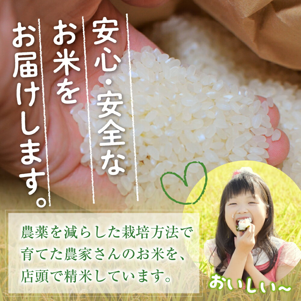 【ふるさと納税】 北海道産 ななつぼし 当店 オリジナル 精米 300g ( 2合 ) お米 白米 ごはん 冷めても美味しい おにぎり お弁当にも お試し 送料無料 北海道 十勝 芽室町 - 画像2