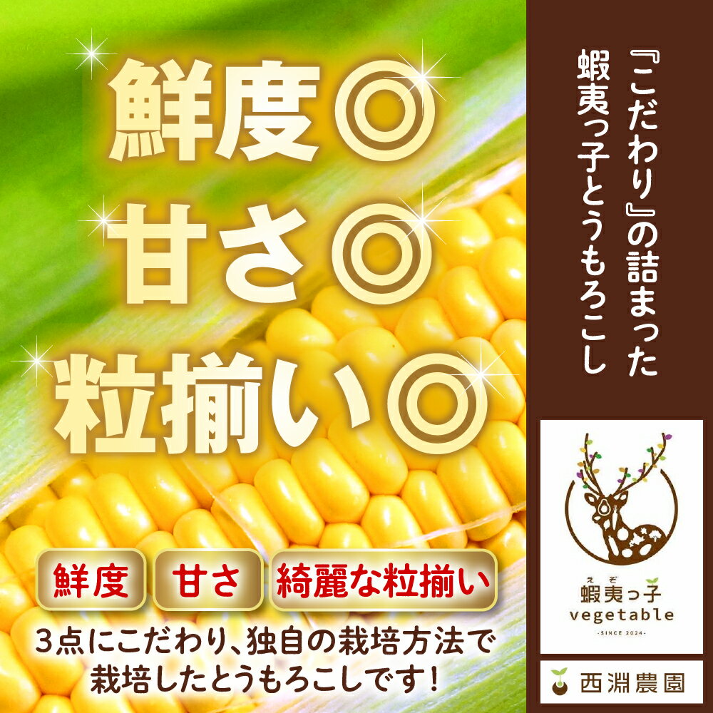 【ふるさと納税】【先行予約】 2026年産 とうもろこし 朝採り をお届け！蝦夷っ子とうもろこし ゴールドラッシュ ( 選べる 6本 12本 20本 )【2026年7月25日～8月15日頃発送予定】 人気 キャンプ BBQ とうきび コーン 生 野菜 めむろ 数量限定 産地直送 北海道 十勝 芽室町 - 画像3