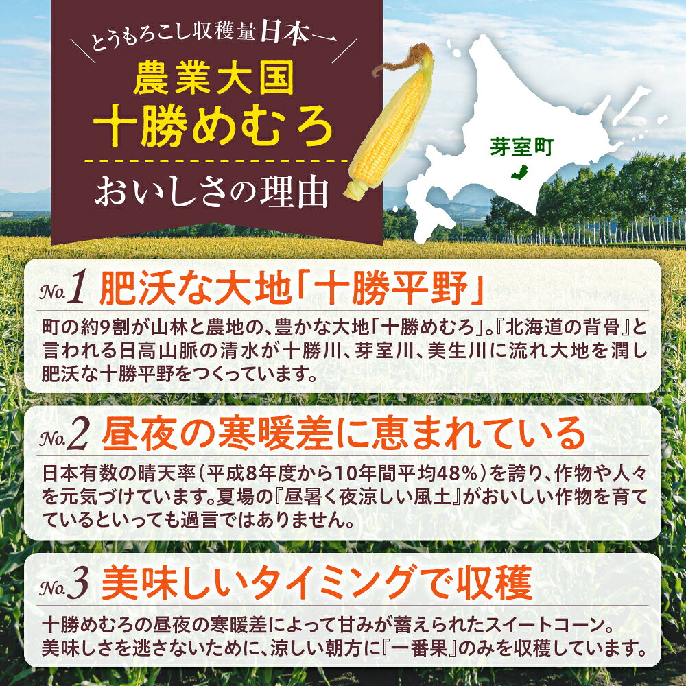 【ふるさと納税】【先行予約】2026年産 とうもろこし 北海道産 ホワイトコーン 10本 セット L ～ 2L 【2026年8月10日～8月下旬配送】 白色 コーン 朝採り 産地直送 とうきび 甘い 生 野菜 産地直送 冷蔵 送料無料 期間限定 数量限定 人気 おすすめ 北海道 十勝 芽室町 - 画像3