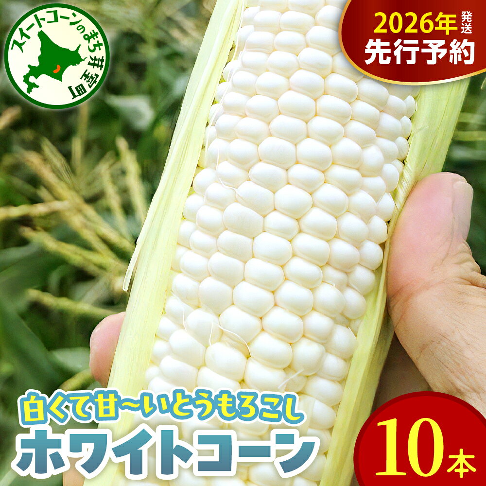 【先行予約】2026年産 とうもろこし 北海道産 ホワイトコーン 10本 セット L ～ 2L 【2026年8月10日～8月下旬配送】 白色 コーン 朝採り 産地直送 とうきび 甘い 生 野菜 産地直送 冷蔵 送料無料 期間限定 数量限定 人気 おすすめ 北海道 十勝 芽室町