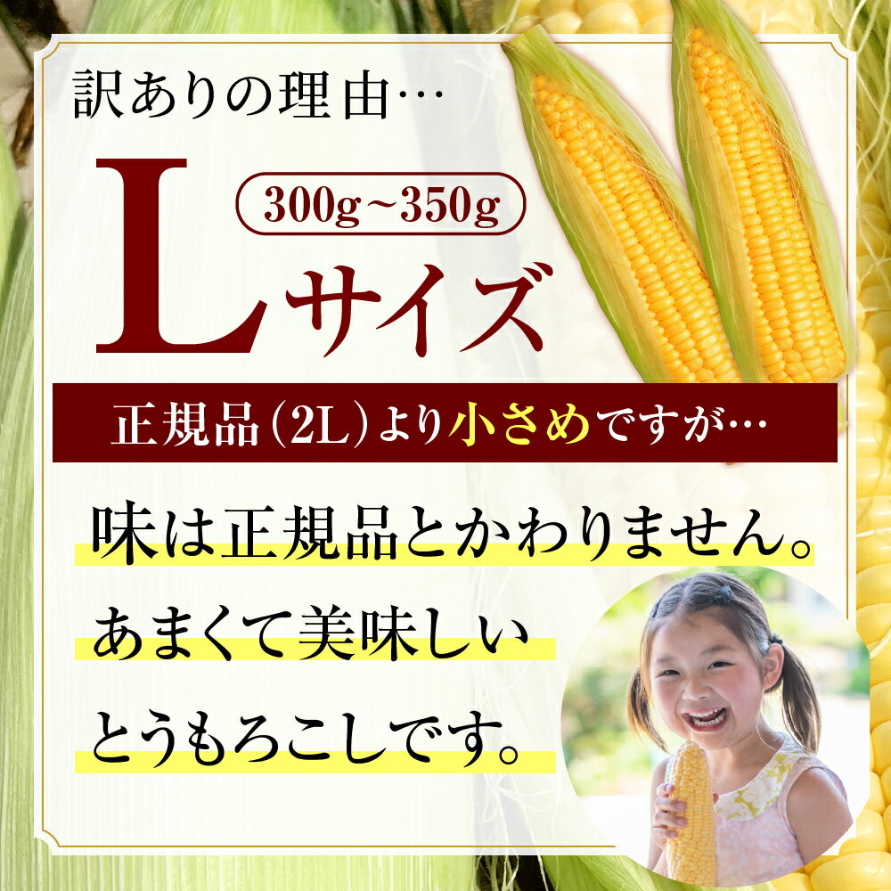 【ふるさと納税】【訳あり】【先行予約】 2026年産 とうもろこし 北海道産 ゴールドラッシュ L サイズ ( 選べる : 10本 / 20本 )【2026年8月上旬～8月下旬頃配送】 スイートコーン コーン 朝採り 産地直送 糖度 生 野菜 新鮮 BBQ 冷蔵 送料無料 お取り寄せ 北海道十勝 芽室町 - 画像3