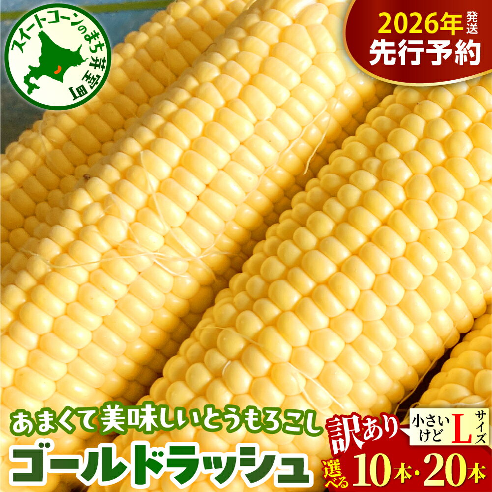 【訳あり】【先行予約】 2026年産 とうもろこし 北海道産 ゴールドラッシュ L サイズ ( 選べる : 10本 / 20本 )【2026年8月上旬～8月下旬頃配送】 スイートコーン コーン 朝採り 産地直送 糖度 生 野菜 新鮮 BBQ 冷蔵 送料無料 お取り寄せ 北海道十勝 芽室町
