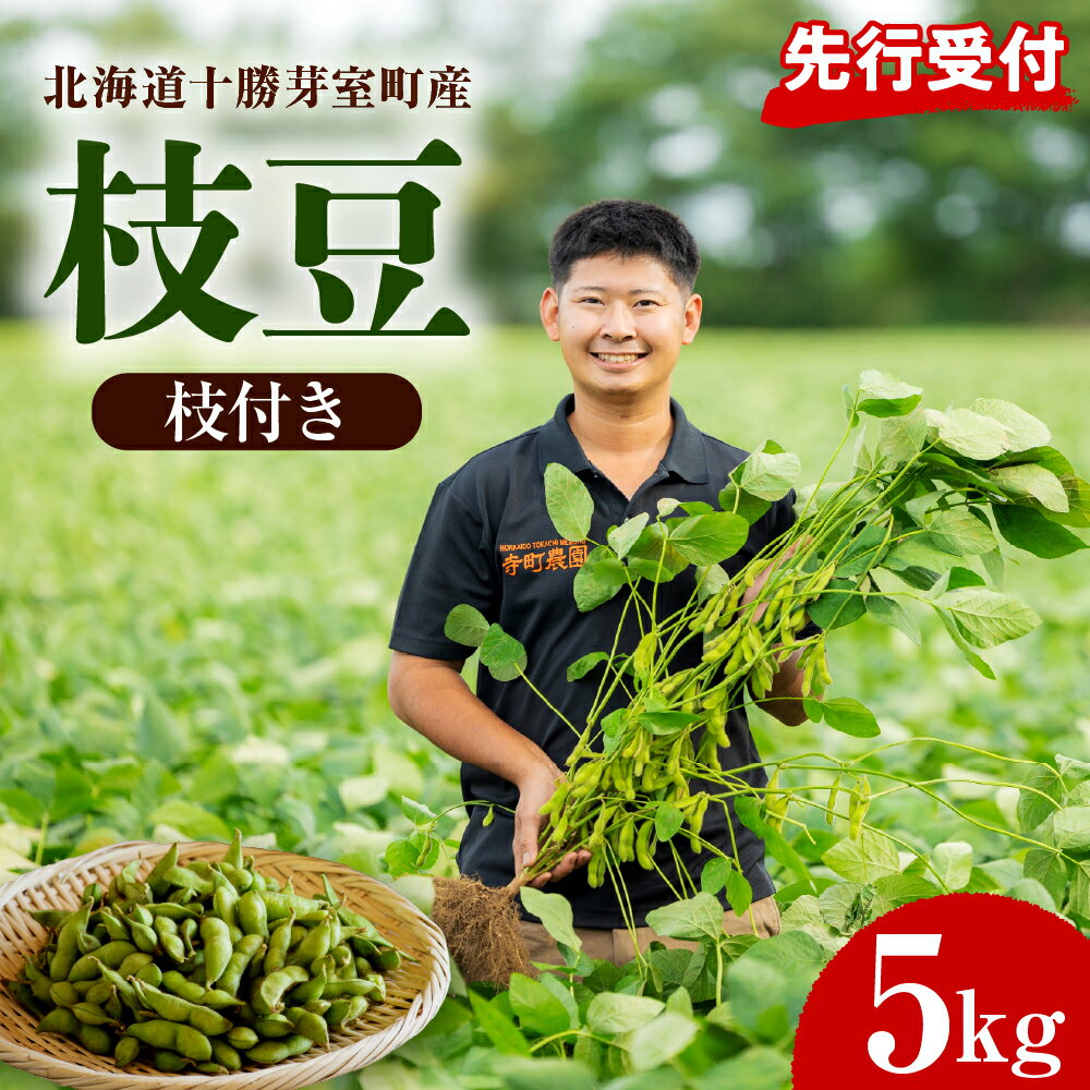 枝付き 枝豆 5kg 【2026年8月より発送】 先行予約 えだ豆 えだまめ 生枝豆 2026年産 野菜 冷蔵 おつまみ 晩酌 おやつ 弁当 美味しい お取り寄せグルメ 特産品 送料無料 北海道産 北海道 十勝 芽室町