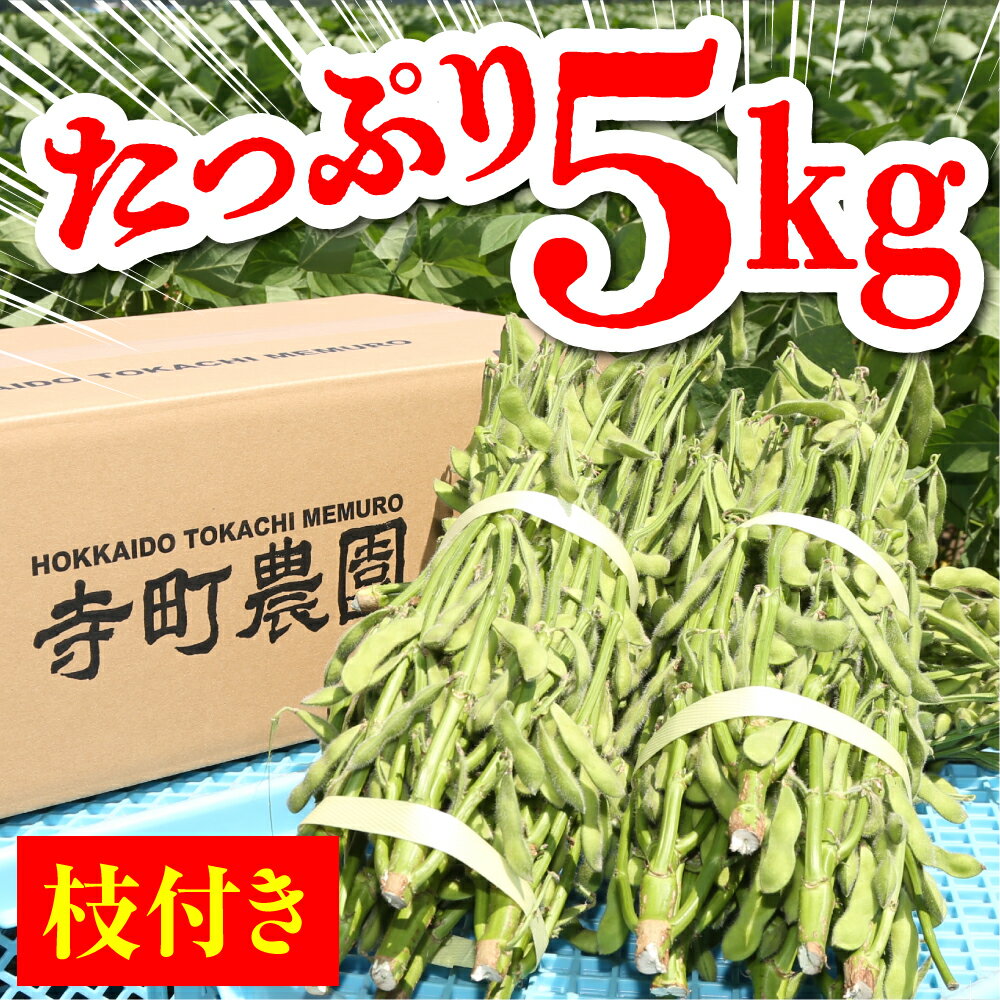 【ふるさと納税】 枝付き 枝豆 5kg 【2026年8月より発送】 先行予約 えだ豆 えだまめ 生枝豆 2026年産 野菜 冷蔵 おつまみ 晩酌 おやつ 弁当 美味しい お取り寄せグルメ 特産品 送料無料 北海道産 北海道 十勝 芽室町 - 画像3