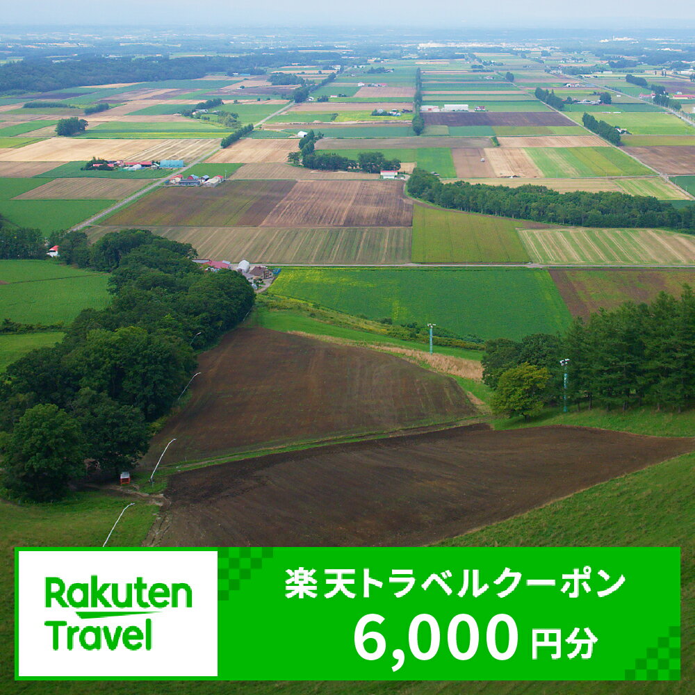 北海道芽室町の対象施設で使える楽天トラベルクーポン 寄付額20,000円
