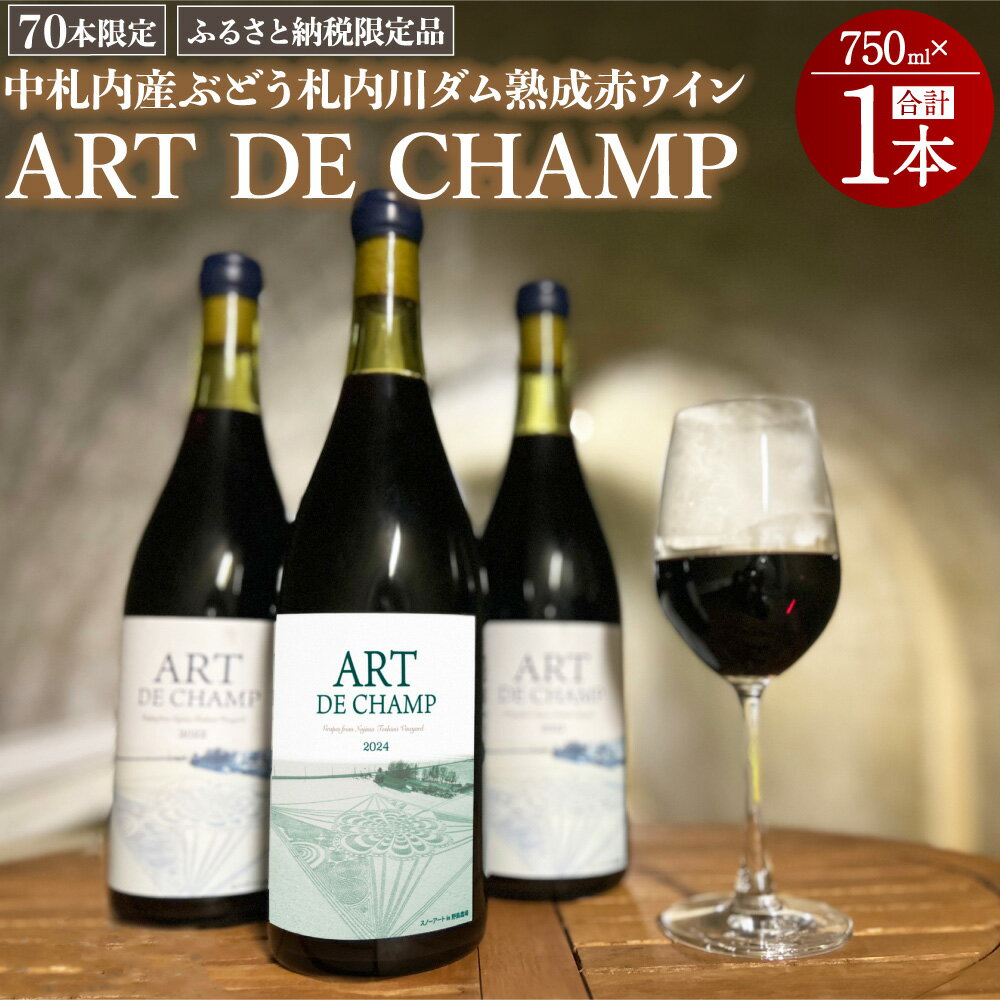《70本数量限定》札内川ダム 熟成 赤ワイン 中札内村産 1本 ぶどう アート・ド・シャンプ 【2026年6月上旬発送】 ワイン 赤 お酒 おさけ 酒 ギフト 贈答 プレゼント お取り寄せ 北海道 中札内村 送料無料 [006-0109]