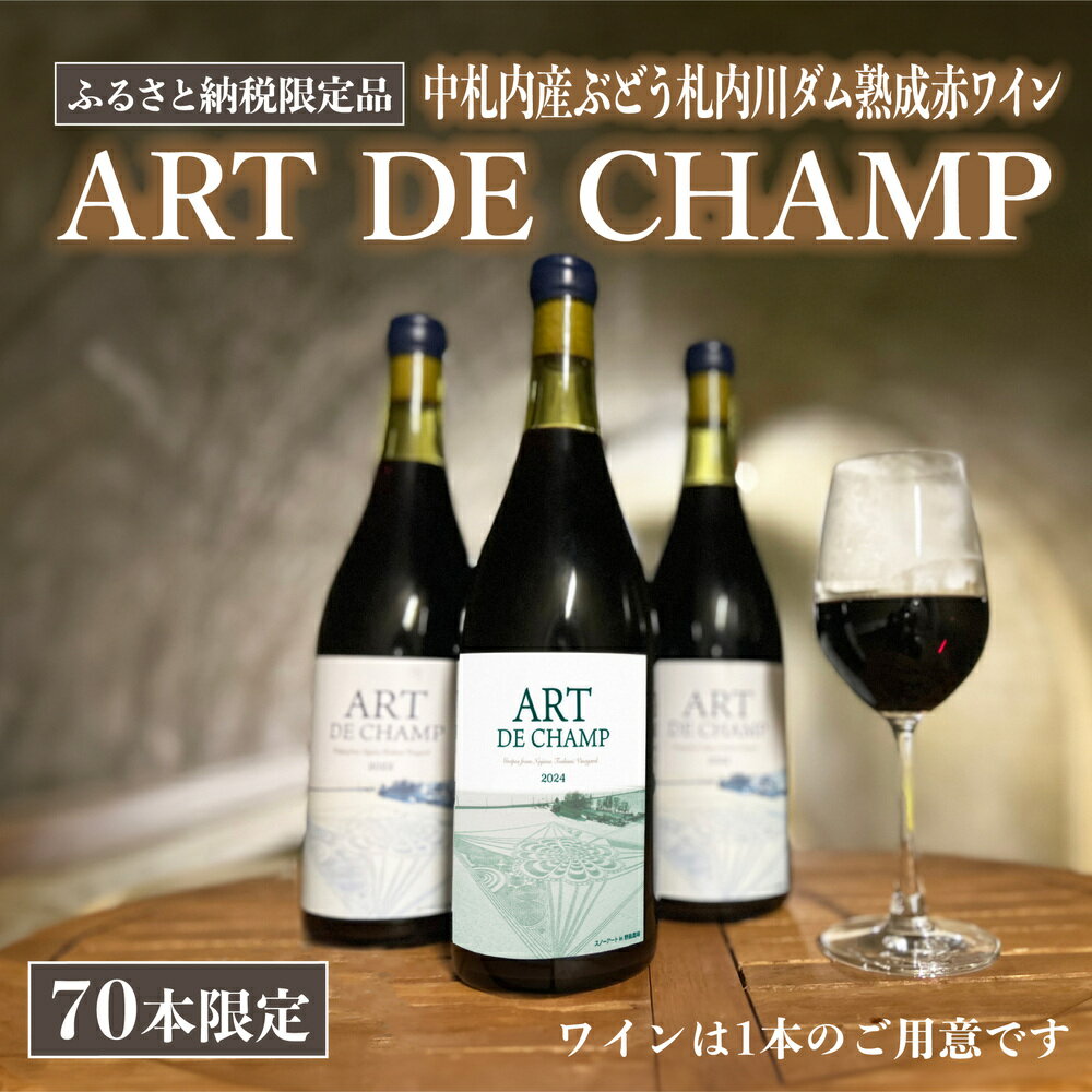 【ふるさと納税】《70本数量限定》札内川ダム 熟成 赤ワイン 中札内村産 1本 ぶどう アート・ド・シャンプ 【2026年6月上旬発送】 ワイン 赤 お酒 おさけ 酒 ギフト 贈答 プレゼント お取り寄せ 北海道 中札内村 送料無料 [006-0109] サムネイル2