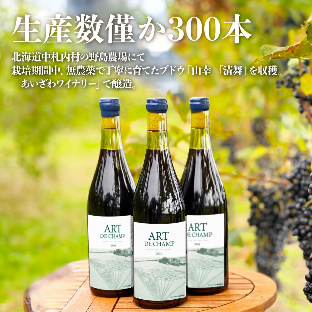 【ふるさと納税】《70本数量限定》札内川ダム 熟成 赤ワイン 中札内村産 1本 ぶどう アート・ド・シャンプ 【2026年6月上旬発送】 ワイン 赤 お酒 おさけ 酒 ギフト 贈答 プレゼント お取り寄せ 北海道 中札内村 送料無料 [006-0109] サムネイル3