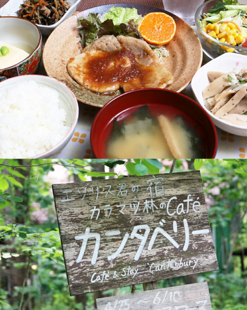 【ふるさと納税】＜選べる利用人数＞【1名様分・2名様分】エゾリス君の宿カンタベリー 1泊2食付 宿泊券 1枚 一棟貸し 朝食 夕食 ペア チケット 旅行券 施設利用券 商品券 旅館 ホテル 旅行 観光 北海道 中札内村 送料無料 [044-0231] 楽天スーパーSALE 9月開催 サムネイル2