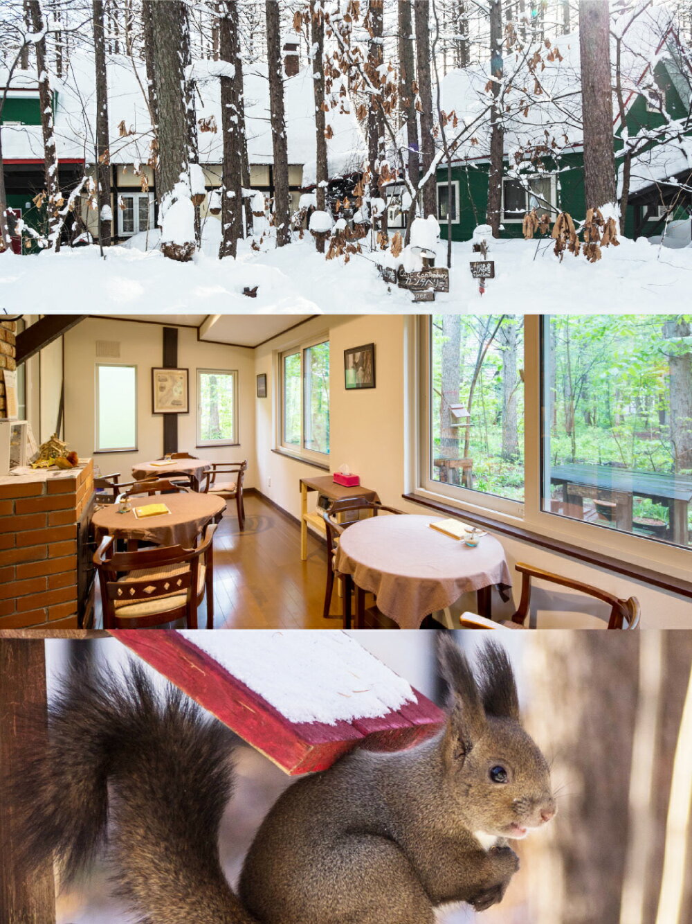 【ふるさと納税】＜選べる利用人数＞【1名様分・2名様分】エゾリス君の宿カンタベリー 1泊2食付 宿泊券 1枚 一棟貸し 朝食 夕食 ペア チケット 旅行券 施設利用券 商品券 旅館 ホテル 旅行 観光 北海道 中札内村 送料無料 [044-0231] 楽天スーパーSALE 9月開催 サムネイル3
