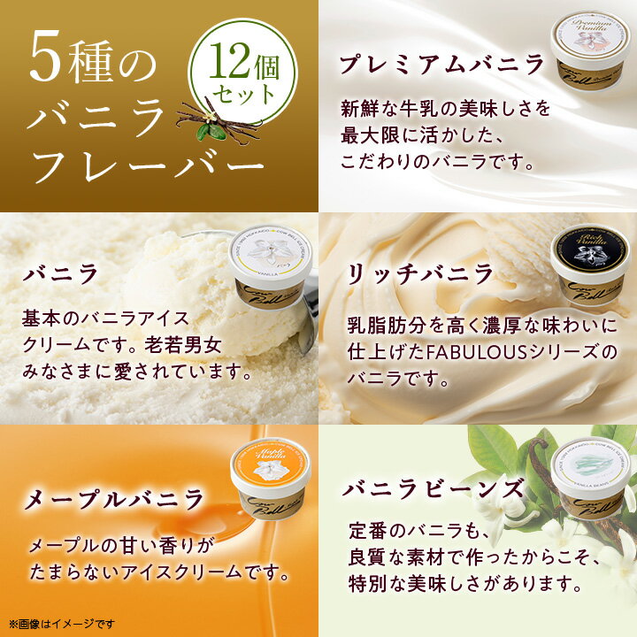 【ふるさと納税】新鮮濃厚ミルク バニラ5種食べ比べセット 12個入_ アイス アイスクリーム 北海道 大樹町 ジェラート スイーツ デザート 人気 美味しい バニラアイス ご当地 【配送不可地域：離島】【1462504】 - 画像3