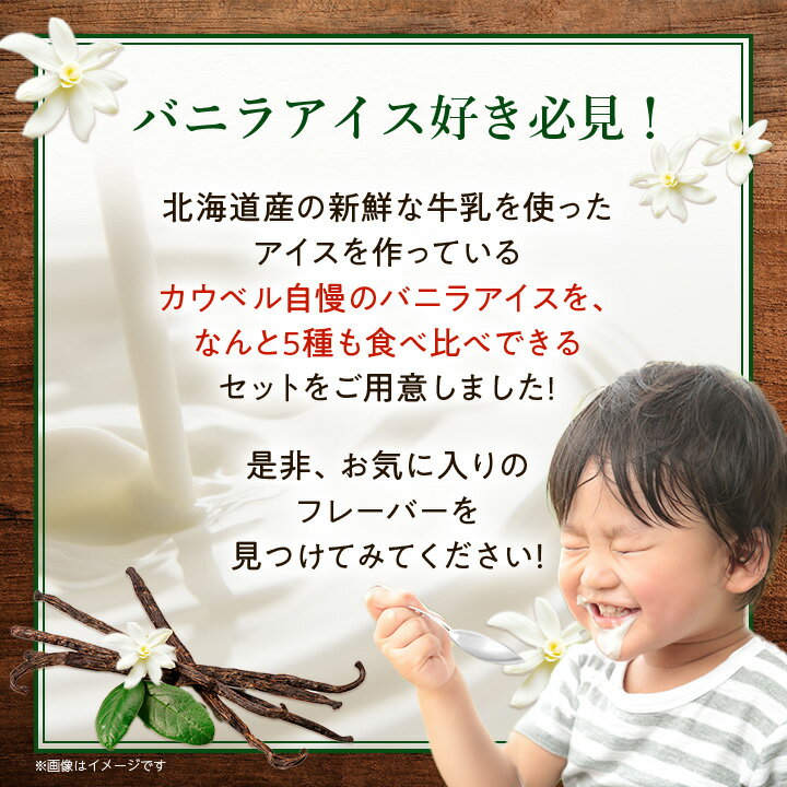 【ふるさと納税】新鮮濃厚ミルク バニラ5種食べ比べセット 12個入_ アイス アイスクリーム 北海道 大樹町 ジェラート スイーツ デザート 人気 美味しい バニラアイス ご当地 【配送不可地域：離島】【1462504】 - 画像2