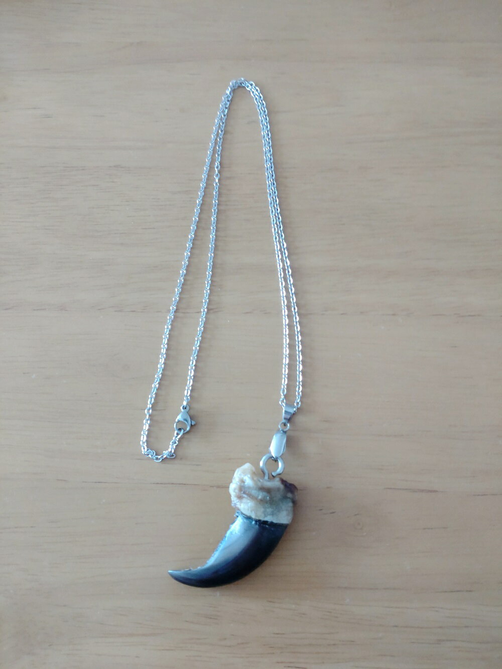 【ふるさと納税】有害鳥獣として駆除されたヒグマの爪を丁寧に加工　ヒグマの爪ペンダント サムネイル2