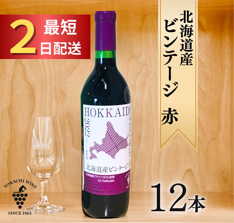 十勝ワイン 北海道産ビンテージ 赤12本 最短申込みから2日発送 国産ワイン 北海道ワイン 北海道池田町 池田町 ふるさと納税 送料無料 ワインセット