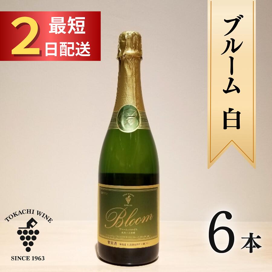 北海道 十勝ワイン ブルーム白6本 申込から最短2日発送 北海道 スパークリング 瓶内二次発酵 スパークリングワイン ふるさと納税 送料無料 辛口