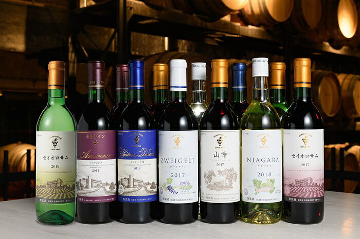 【ふるさと納税】北海道 十勝ワイン バイザーおすすめワイン赤・白12本セットD002-3-3 サムネイル3