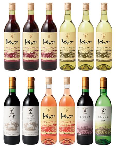 【ふるさと納税】十勝ワイン ハーフ 12本セット(360ml×12本） 北海道ワイン 国産ワイン 受賞ワイン サムネイル2