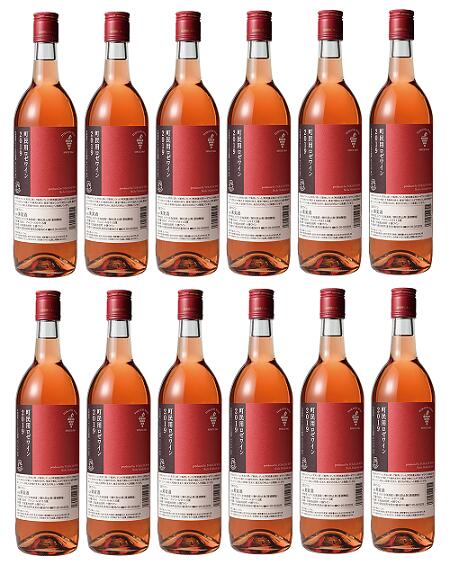 【ふるさと納税】十勝ワイン町民用ロゼ12本 北海道 ワイン 国産ワイン 北海道ワイン 北海道池田町 池田町 ふるさと納税 送料無料 ワインセット 辛口 サムネイル2