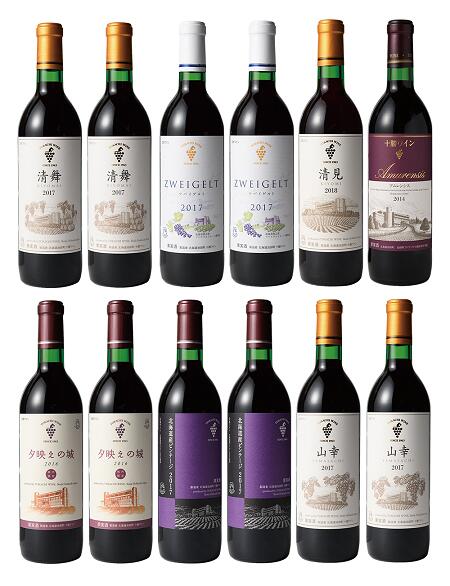 【ふるさと納税】北海道 十勝ワイン 赤にこだわったビンテージ12本セット 北海道ワイン 国産ワイン ヴィンテージ ビンテージ 厳選 人気 受賞 山幸 おすすめ 高品質 セレクション 送料無料 ふるさと納税 池田町 サムネイル2