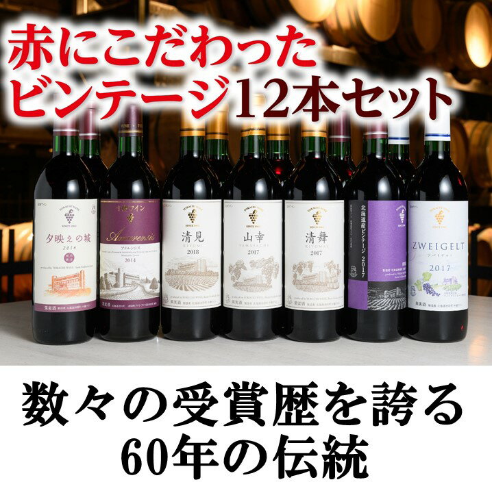 北海道 十勝ワイン 赤にこだわったビンテージ12本セット 北海道ワイン 国産ワイン ヴィンテージ ビンテージ 厳選 人気 受賞 山幸 おすすめ 高品質 セレクション 送料無料 ふるさと納税 池田町