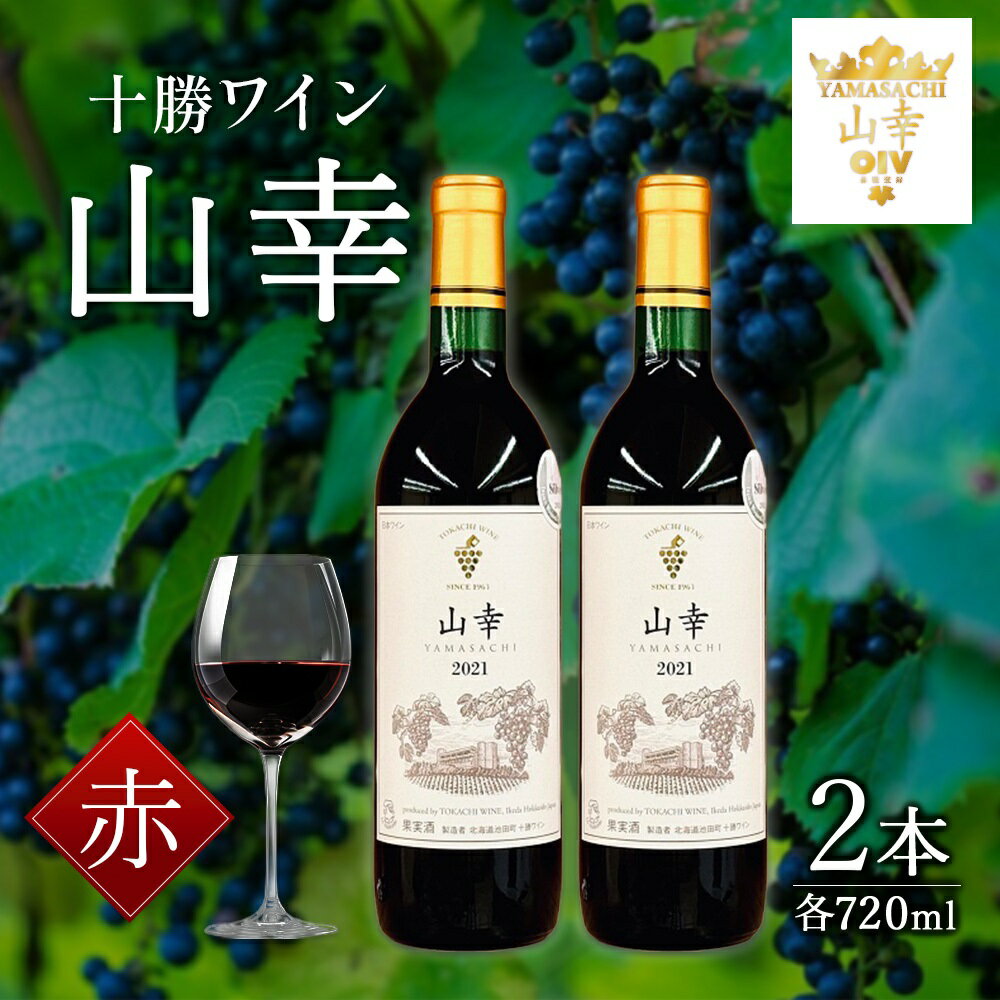 山幸 2本 北海道 ワイン 世界が認めたO.I.V品種登録 送料無料 十勝ワイン 赤ワイン