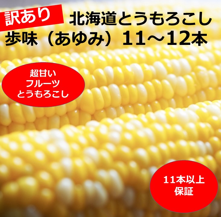 訳あり とうもろこし 11~12本 歩味（あゆみ）バイカラーコーン 甘い とうもろこし 北海道 11本以上保証 数量限定 期間限定 トウモロコシ 送料無料