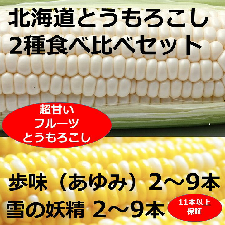 訳あり 北海道 朝獲れ とうもろこし 2種 食べ比べセット 11～12本 甘い トウモロコシ 人気 送料無料 ホワイトコーン バイカラーコーン