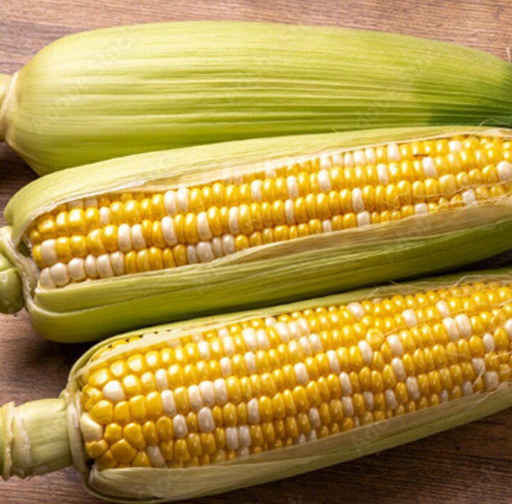 【ふるさと納税】訳あり とうもろこし 11~12本 歩味（あゆみ）バイカラーコーン 甘い とうもろこし 北海道 11本以上保証 数量限定 期間限定 トウモロコシ 送料無料 - 画像3