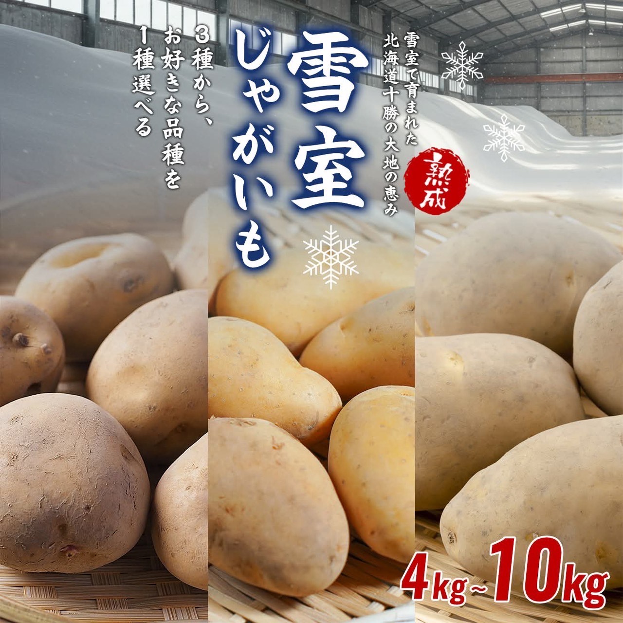 先行予約 期間限定 高評価4.53 北海道産 熟成じゃがいも 4～10kg 選べる銘柄 雪室貯蔵 十勝産 ジャガイモ じゃが芋 いも 甘い