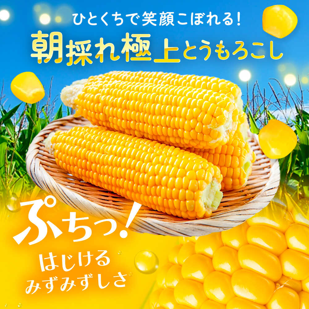 【ふるさと納税】 【先行予約】北海道 朝もぎ とうもろこし 10本 （ 恵味ゴールド ）【8月上旬以降発送】《足寄町》【党崎農場】 トウモロコシ とうきび 朝どれ 甘い 野菜 採れたて野菜 農家 おすすめ 北海道産 産地直送 産直 [BEAA003] - 画像2