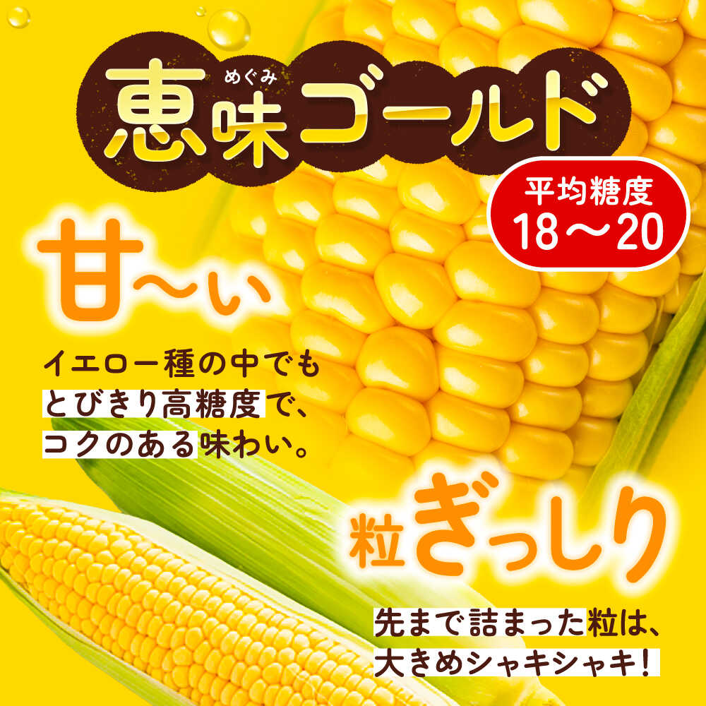 【ふるさと納税】 【先行予約】北海道 朝もぎ とうもろこし 10本 （ 恵味ゴールド ）【8月上旬以降発送】《足寄町》【党崎農場】 トウモロコシ とうきび 朝どれ 甘い 野菜 採れたて野菜 農家 おすすめ 北海道産 産地直送 産直 [BEAA003] - 画像3