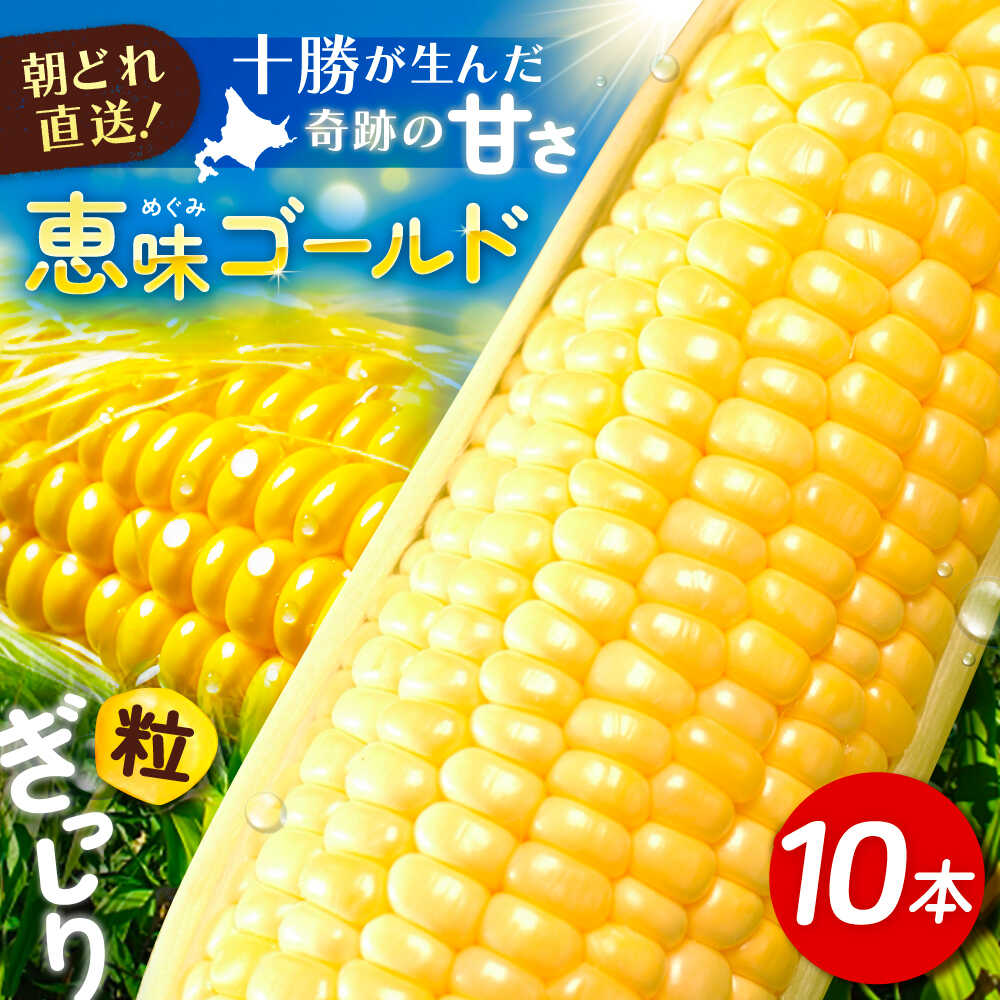 【先行予約】北海道 朝もぎ とうもろこし 10本 （ 恵味ゴールド ）【8月上旬以降発送】《足寄町》【党崎農場】 トウモロコシ とうきび 朝どれ 甘い 野菜 採れたて野菜 農家 おすすめ 北海道産 産地直送 産直 [BEAA003]