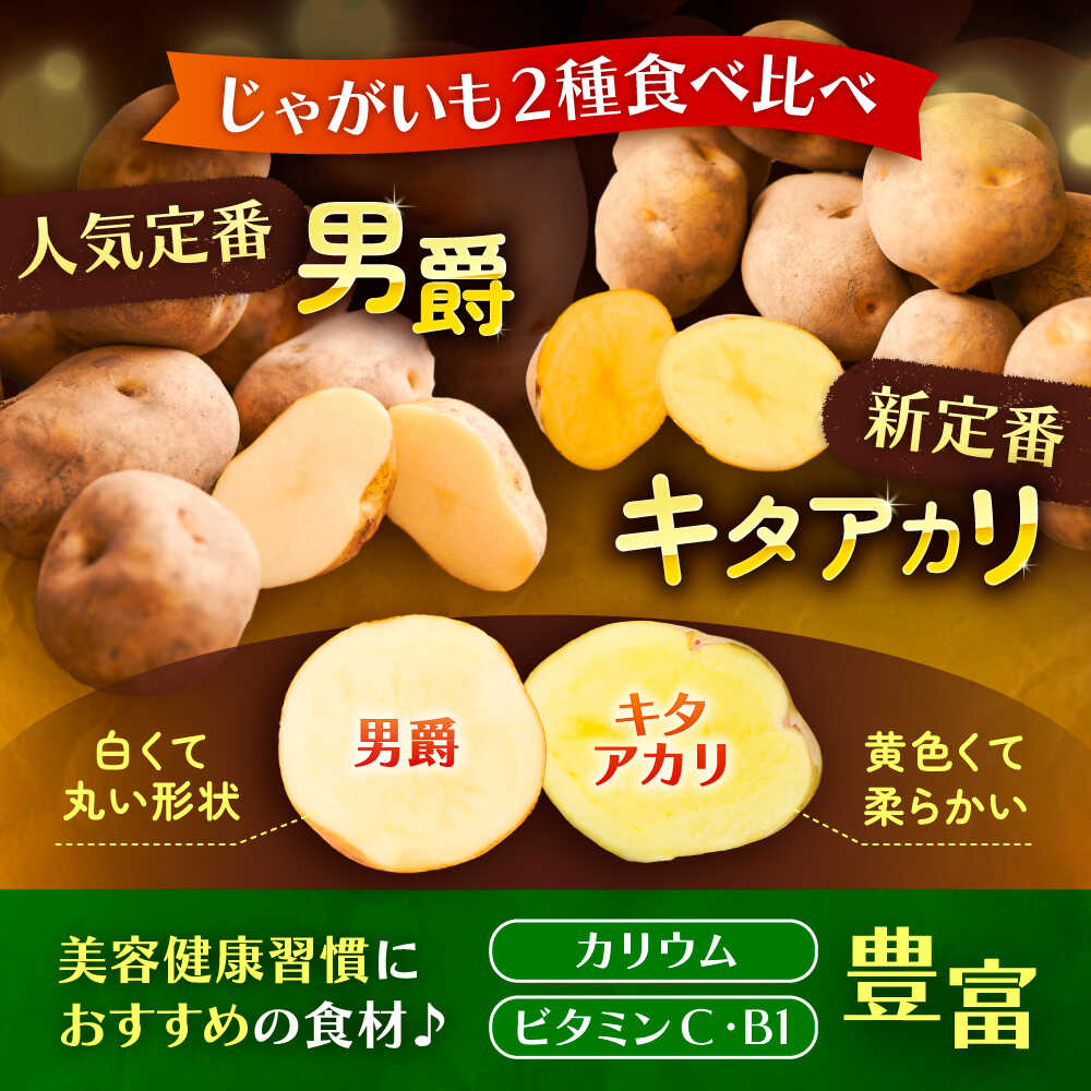 【ふるさと納税】【先行予約】北海道産 じゃがいも 5kg × 2種 食べ比べ（ 男爵 ＆ キタアカリ ）《足寄町》【党崎農場】 ジャガイモ じゃがいも 国産 野菜 ポテト 芋 イモ いも きたあかり あしょろ 北海道 道産 産地直送 産直 10kg セット [BEAA005] - 画像2